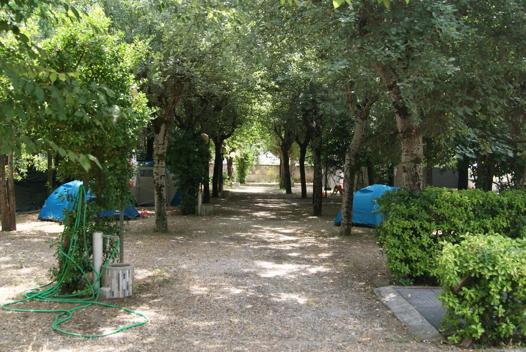Camping Dolce Sole Marina di Massa Eksteriør billede