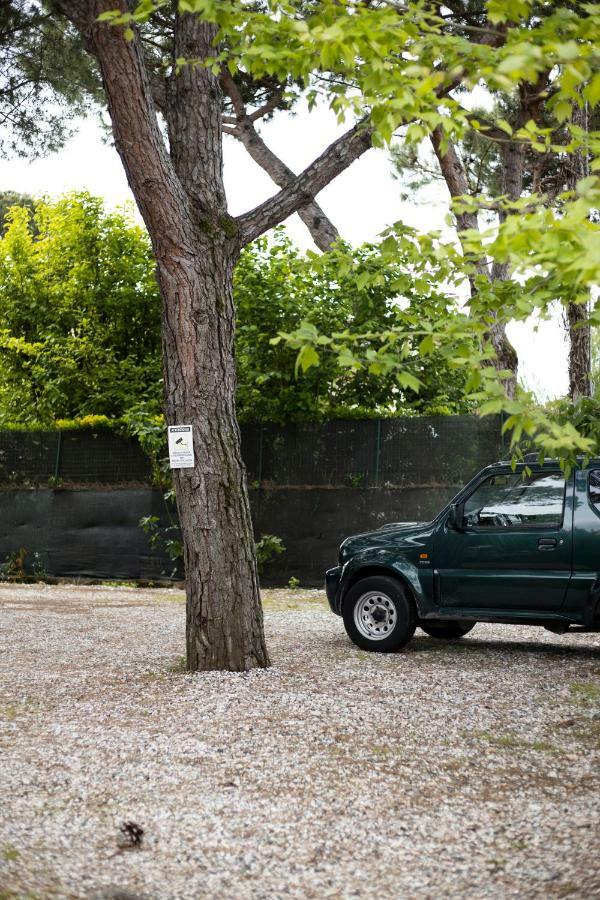 Camping Dolce Sole Marina di Massa Eksteriør billede